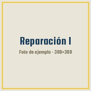 Reparaciones 1