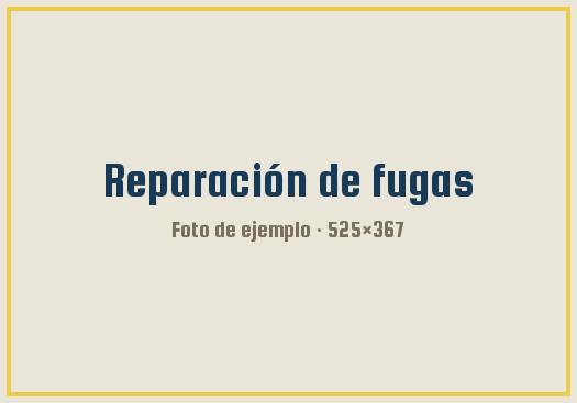 Detección y reparación de fugas